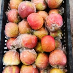 红富士苹果， 汁多脆甜，膜袋，片红，3元/斤批发