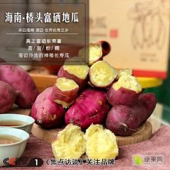 桥头富硒地瓜：板栗薯