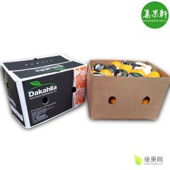 达卡瓦伦西亚橙广州一手货源批发 榨汁电商加工专供