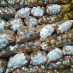 出售大量优质尤金885土豆