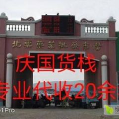 供应西红柿，现已上市，专业代收