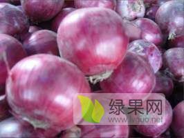 紧急处理紫皮洋葱