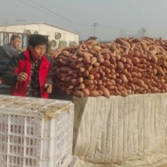 龙署九大量有货，