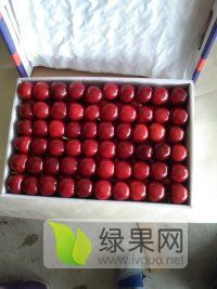 大樱桃3月底上市，量大品质好代购代办