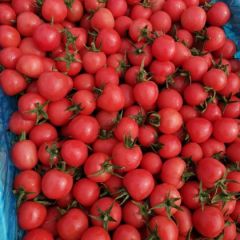 聊城茁壮农业科技有限公司