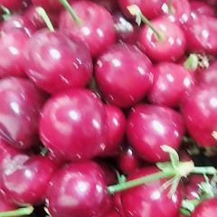 各种水果农产品代购