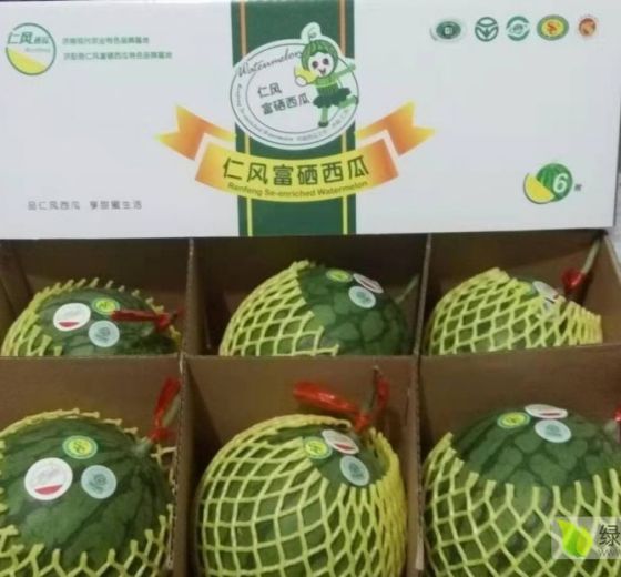 2019年山東濟(jì)陽小蘭價(jià)格