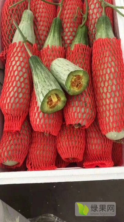 2019年山东寒亭羊角蜜价格