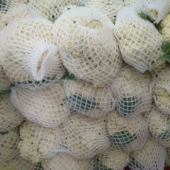 青梗散花 小米粒 量大