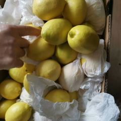 黄柠檬批发优力克进口南非柠檬广州江南市场一手批发