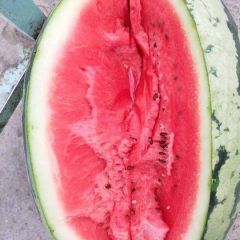 云南省瑞丽市缅甸精品绿宝大量供应