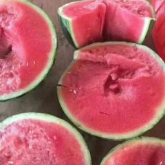 云南红河州大棚麒麟西瓜产地直供