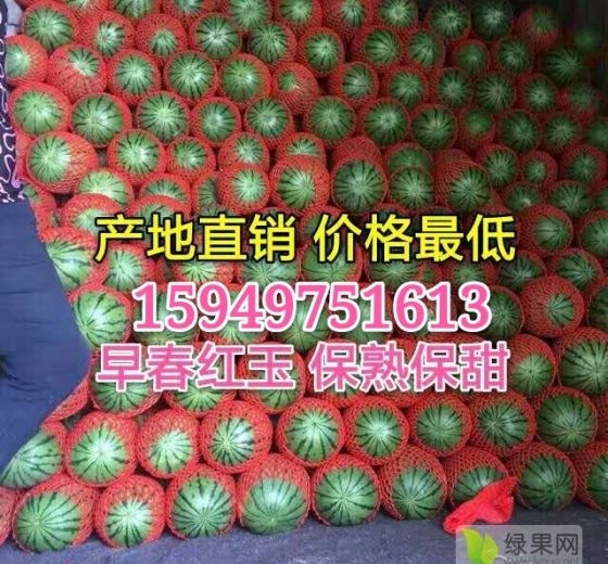 2019年山东寒亭早春红玉西瓜价格