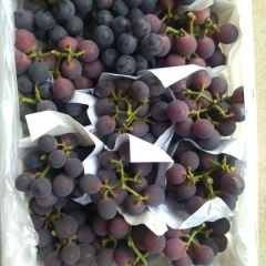 代购巨峰葡萄