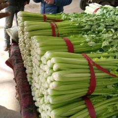 芹菜质量没的说，欢迎来电。