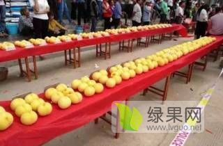 2019年山东沂源晚黄金桃价格