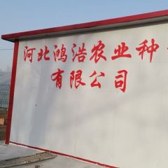 甘蓝 白菜量大价格合理。交通运输方便