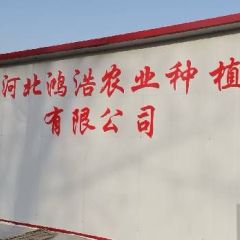 本公司常年供应绿色蔬菜