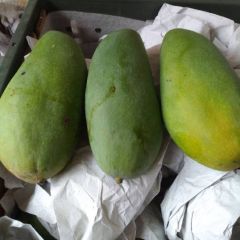 越南青芒，香甜可口，肉厚核薄