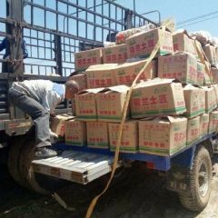 荷兰土豆早大白土豆。