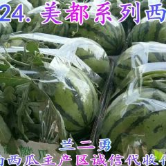 河南商丘.开封8424美都系列【诚信专业】代办