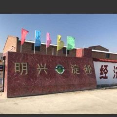 淀粉厂长期大量收购土豆