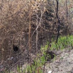 让城里的人也能吃到二十年前的味道