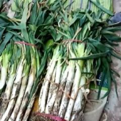 安丘大葱葱高六十，白高叶翠可翠翠可子绿