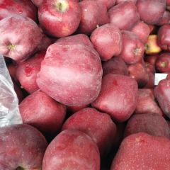 甘肃天水花牛苹果大量出库库存不多了