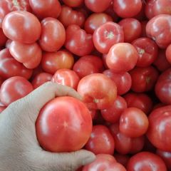 不要错过发财的机会。