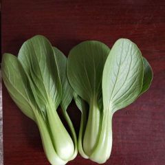 山东省菏泽市曹县上海青