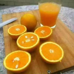 大量夏橙供应物美价廉