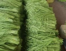 广西合浦长，玉米，花生豆角绿色无公害