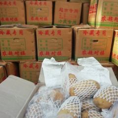精品土豆 附近供应