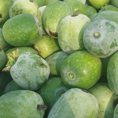 董杜庄镇西吴家大量供应白冬瓜微信号15615947785