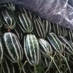 2022山东博洋九号大量上市。