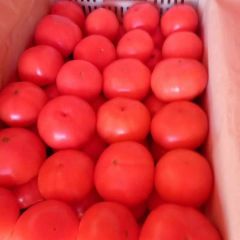 硬粉，孤三以上，亮度，圆度，都占。每斤1.34元。