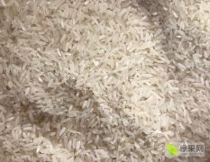 农村晚稻米，粳米