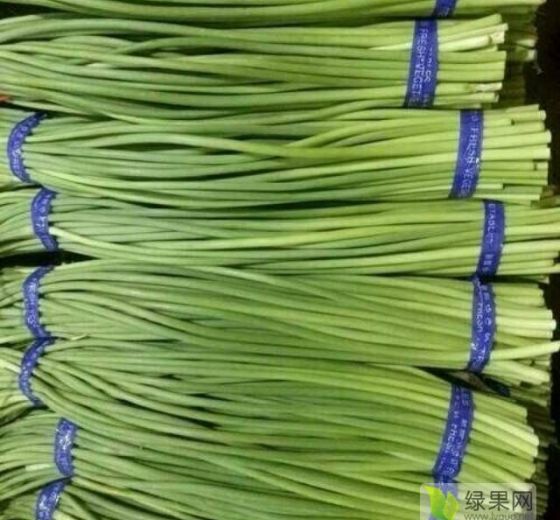2019年山东金乡蒜薹，大蒜价格