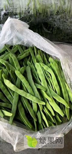 济南市张永升：扁芸豆上市了