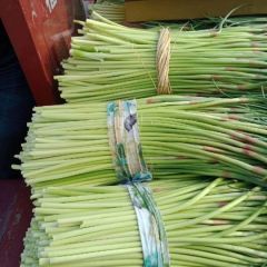 邳州红帽蒜苔开始大量上市，价格合理！