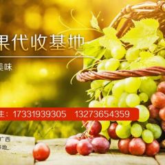 福俊水果代收基地