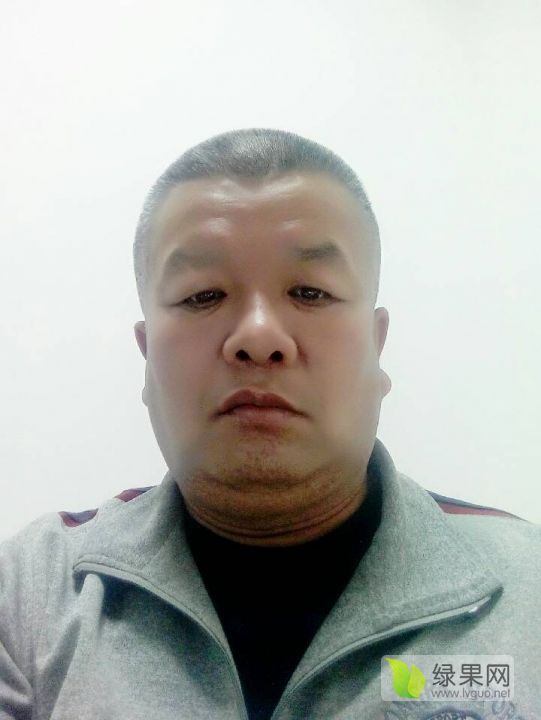 2019年陕西大荔早大果价格