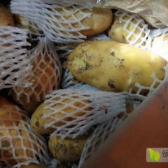 冷库土豆大落价，欢迎抢购