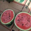 甜王西瓜大量上市