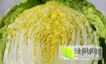 辽宁凌海现地区大白菜大量上市