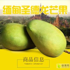 缅甸进口 新鲜圣德龙芒果 货源不断 产地直销 新