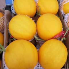 陕西，久红瑞，黄河密，红皮红肉