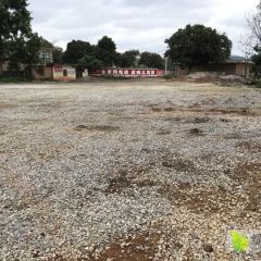 代收金韩蜜本南瓜，早熟南瓜