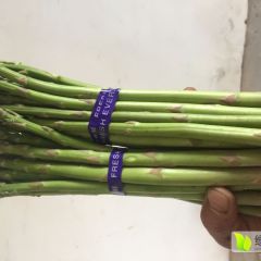 宁陵芦笋菜笋长26-28厘米无白根